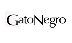 Gato Negro