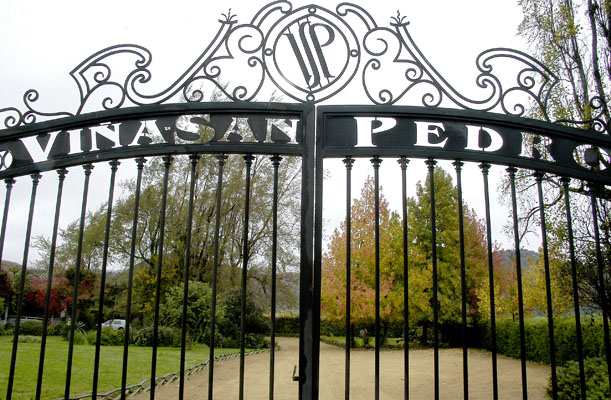 San Pedro wines